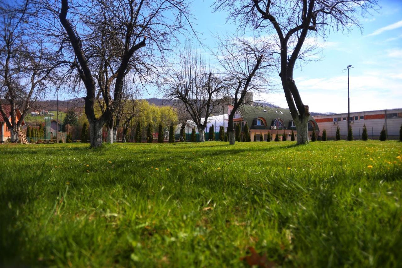 Luna Apartment Novi Pazar Esterno foto