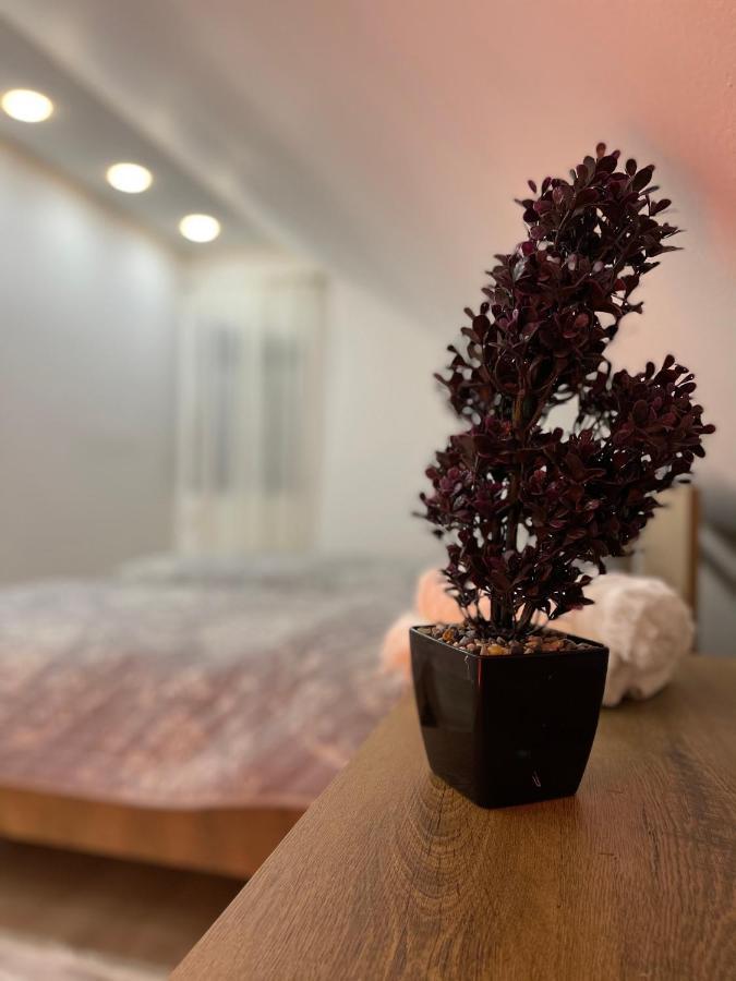 Luna Apartment Novi Pazar Esterno foto
