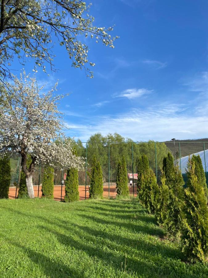 Luna Apartment Novi Pazar Esterno foto